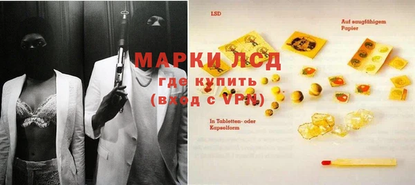крисы Бородино