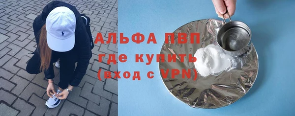 крисы Бородино