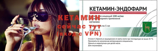 крисы Бородино