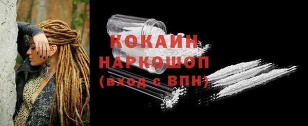 крисы Бородино