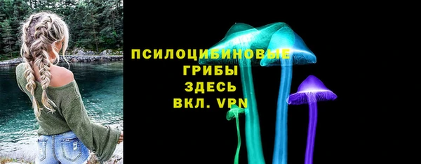 крисы Бородино