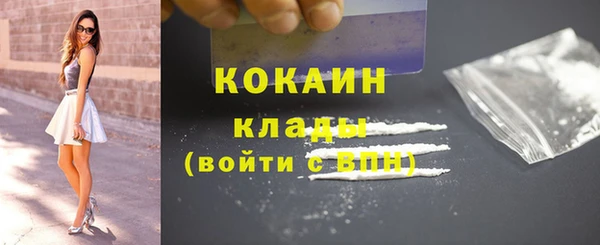 крисы Бородино