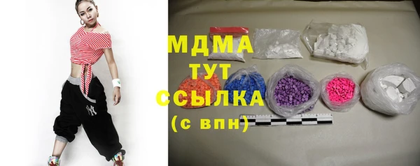 крисы Бородино