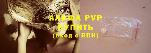 крисы Бородино