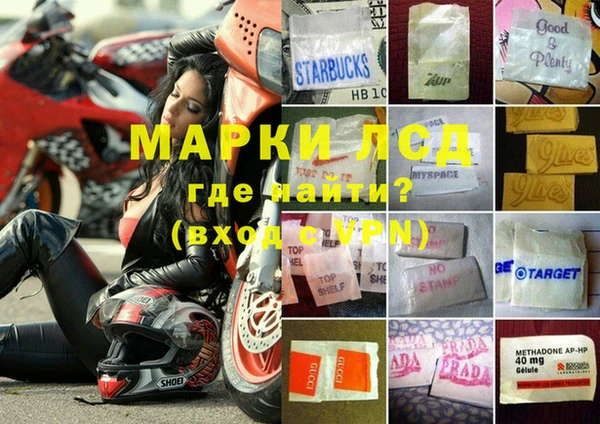 крисы Бородино