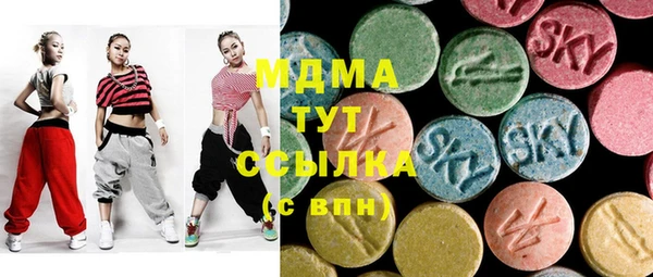 крисы Бородино