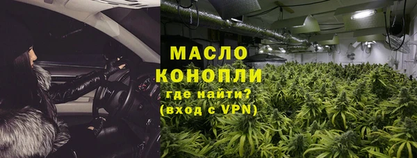 крисы Бородино