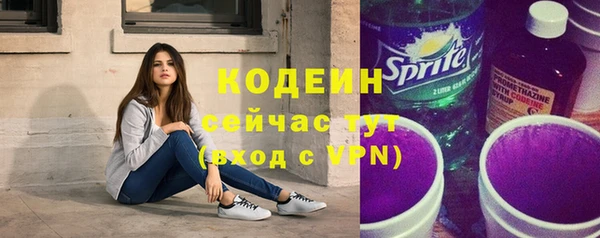 крисы Бородино
