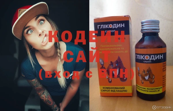 крисы Бородино