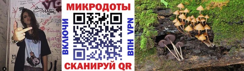 Купить  Высоковск  Псилоцибиновые грибы Psilocybe 